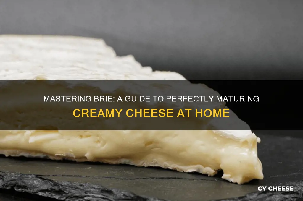 how to mature brie cheese