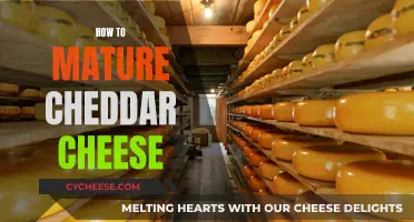 Mastering Cheddar: A Guide to Aging and Flavor Enhancement