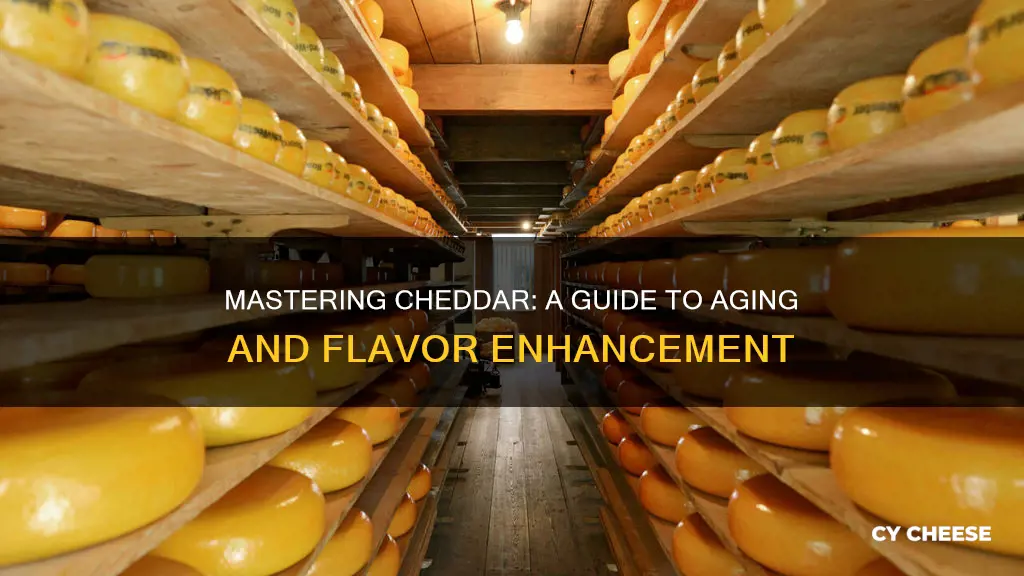 how to mature cheddar cheese