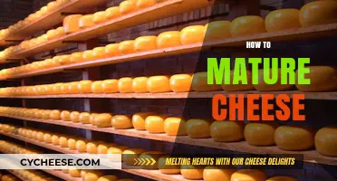 Mastering the Art of Aging Cheese: A Guide to Perfectly Matured Flavors
