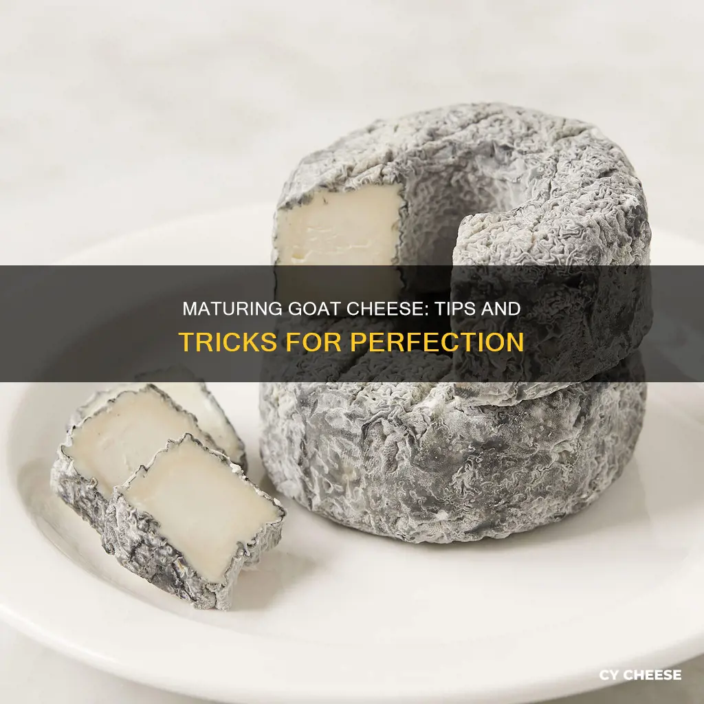 how to mature goats cheese