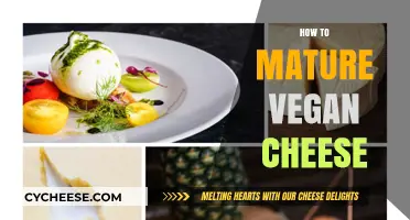 Mastering Vegan Cheese: Techniques for Perfect Aging and Flavor Development