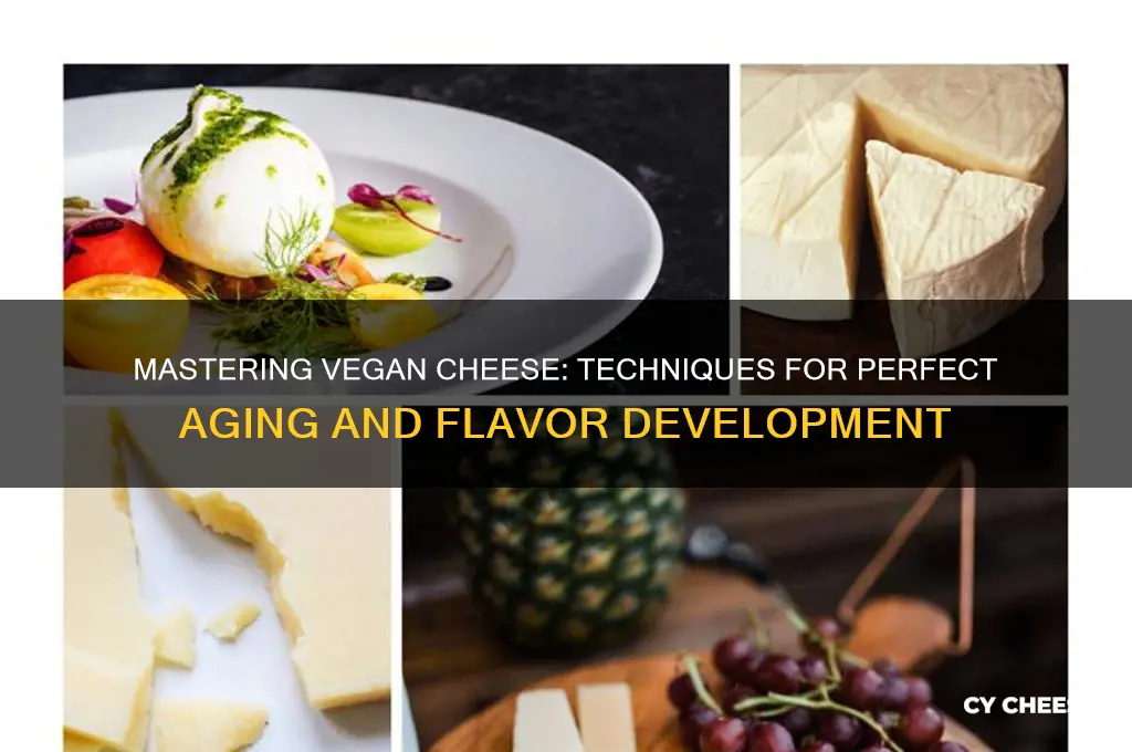 how to mature vegan cheese