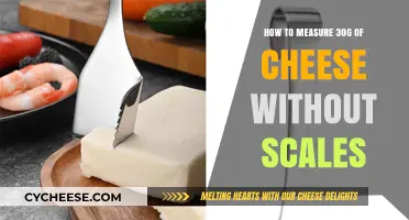 Easy Ways to Measure 30g of Cheese Without Using Scales
