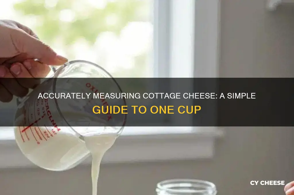 how to measure a cup of cottage cheese