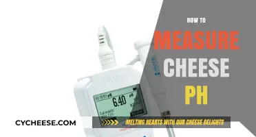 Mastering Cheese pH Measurement: Essential Techniques for Perfect Results