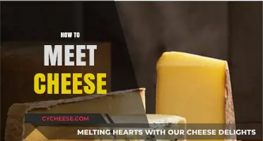 Discovering Deliciousness: A Beginner's Guide to Meeting Artisan Cheeses