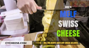 Melt Swiss Cheese to Perfection: Tips and Tricks