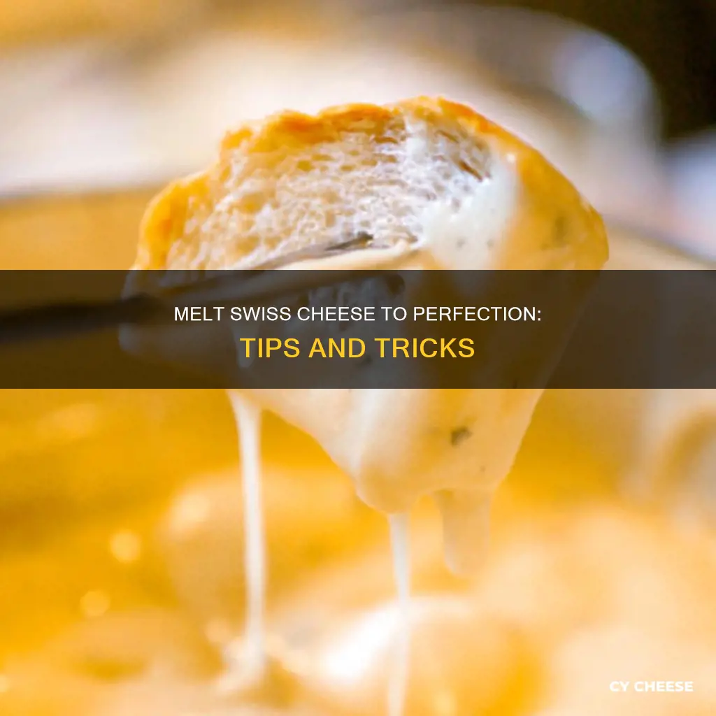 how to melf swiss cheese