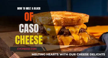 Melted Cheese Delight: The Perfect Way to Enjoy a Block