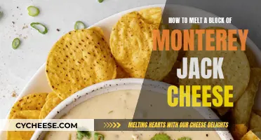 Melting Monterey Jack: Best Techniques for a Gooey Feast