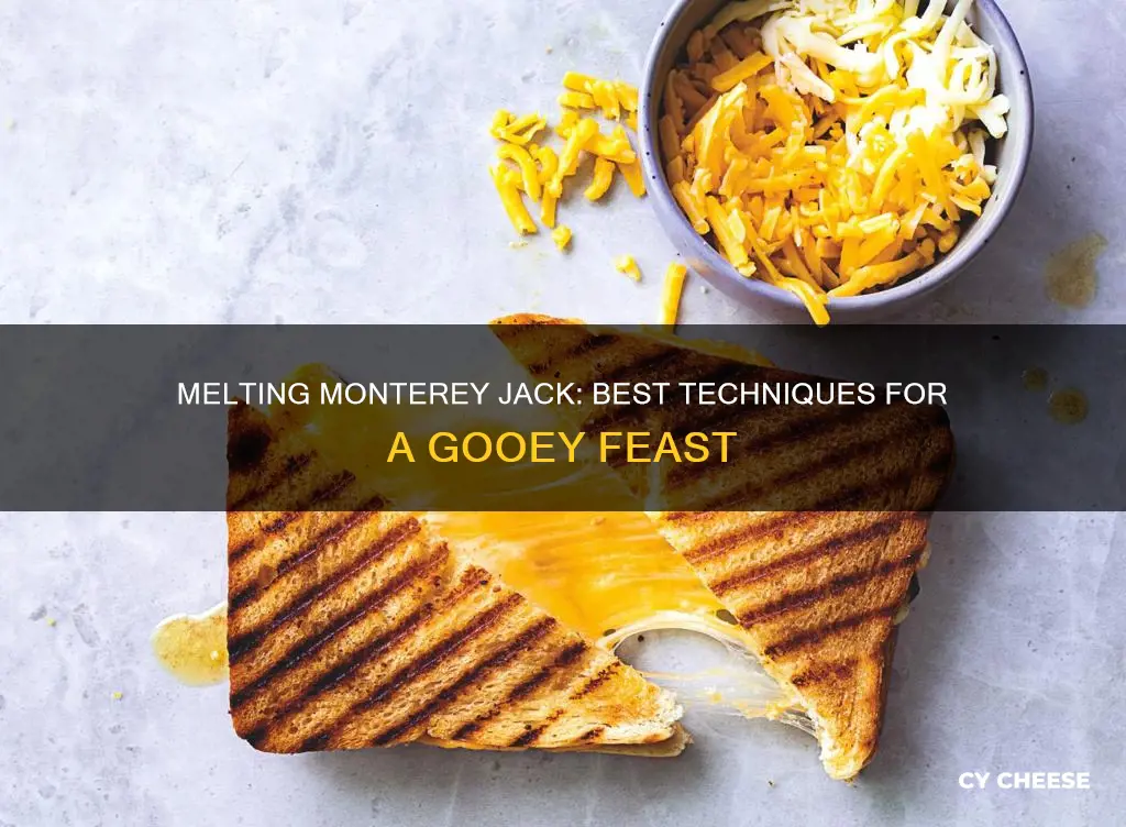how to melt a block of monterey jack cheese