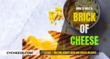 Melting Cheese: Best Techniques to Transform a Brick