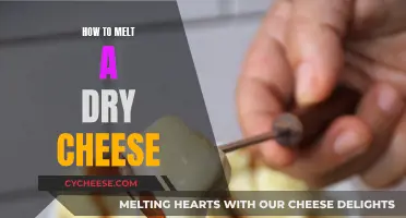 Reviving Dry Cheese: Melting Techniques for Flavorful Revival