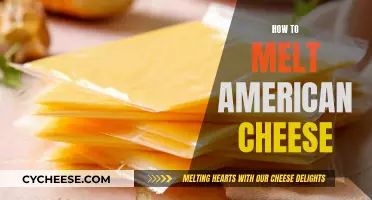 Melting American Cheese: A Quick Guide to Perfection
