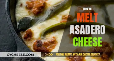 Melting Asadero Cheese: Best Techniques and Tips