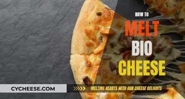 Melting Bio Cheese: Easy Tips for a Perfect Melt