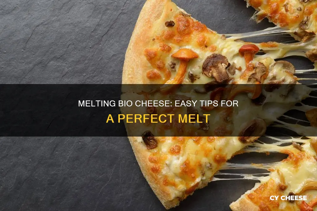 how to melt bio cheese