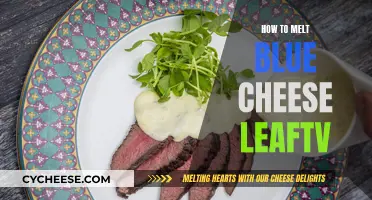 Melting Blue Cheese: A Quick and Easy Guide