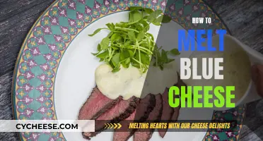 Melting Blue Cheese: A Guide to Getting it Right