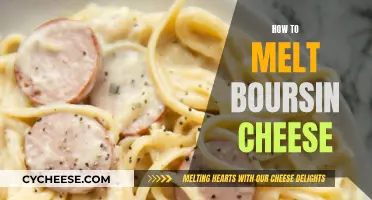 Melting Boursin Cheese: Best Techniques and Top Tips