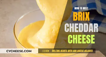 Master the Art of Melting: Transforming Brix Cheddar into Golden, Creamy Bliss