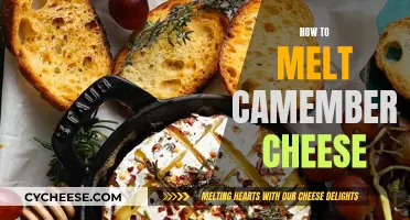 The Perfect Melt: Mastering Camembert Cheese