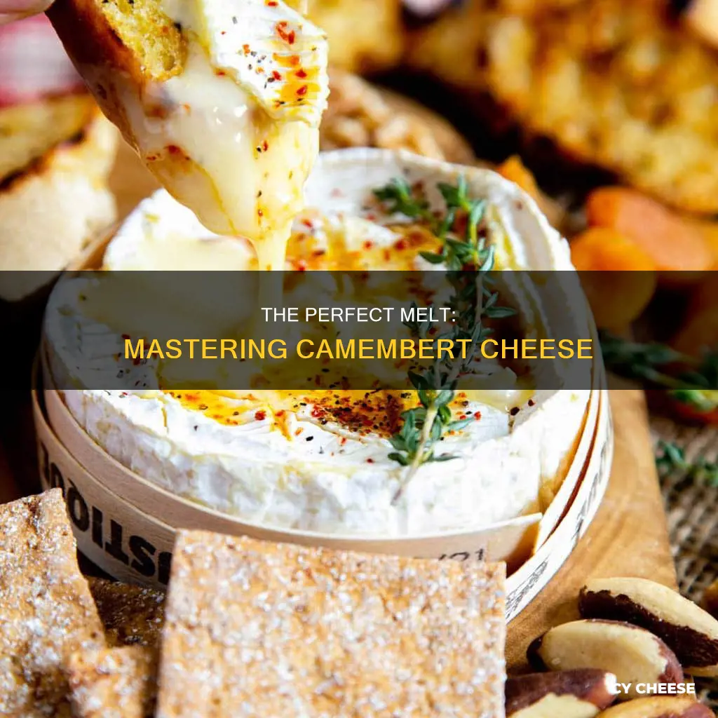 how to melt camembert cheese