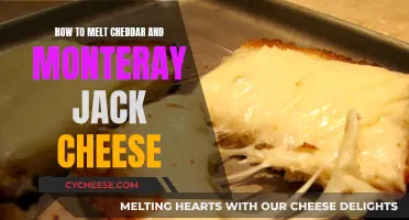 Melting Cheeses: The Art of Combining Cheddar and Jack