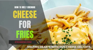 Cheesy Fries: The Ultimate Guide to Melting Cheddar