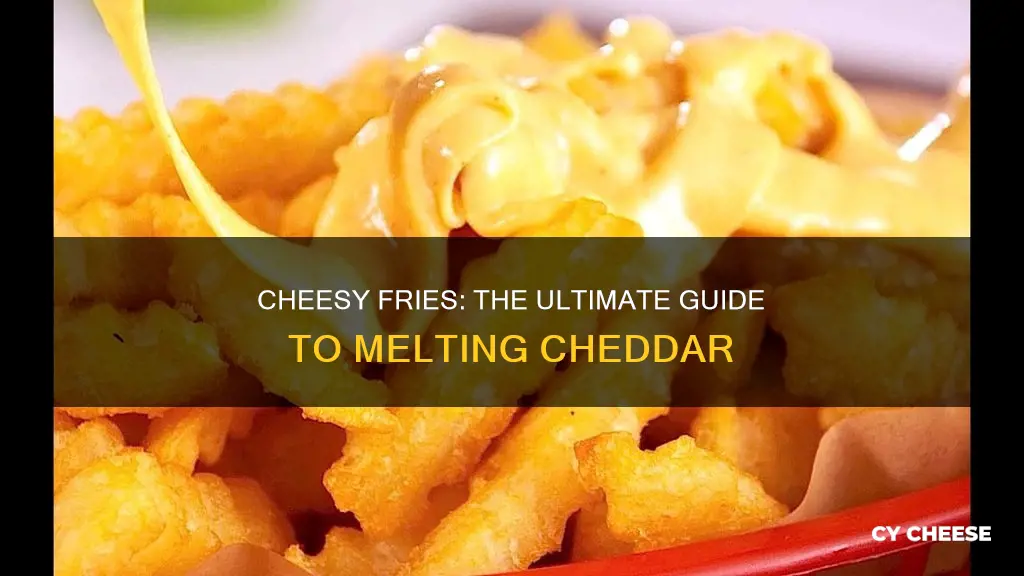 how to melt cheddar cheese for fries