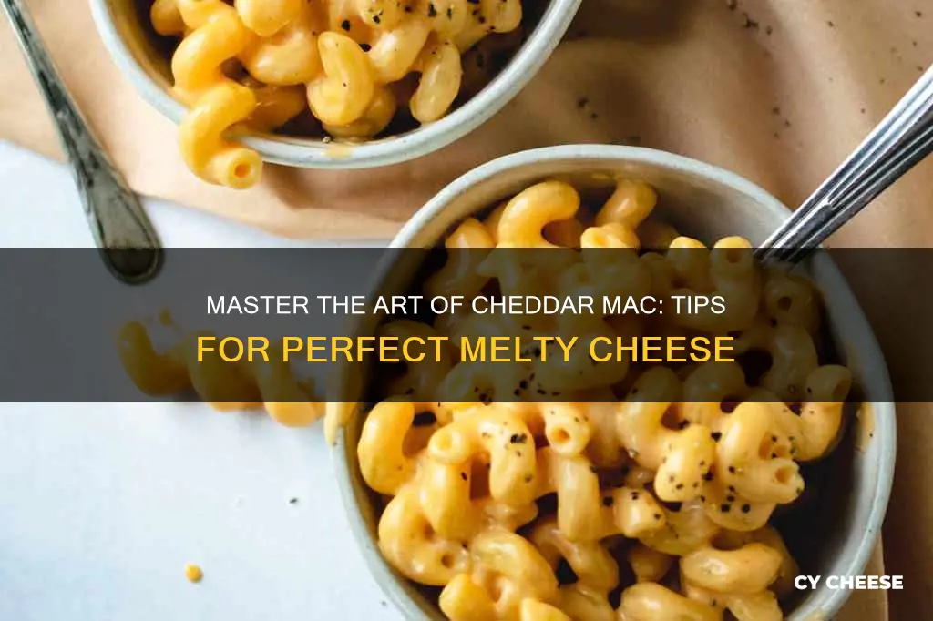 how to melt cheddar cheese for macaroni