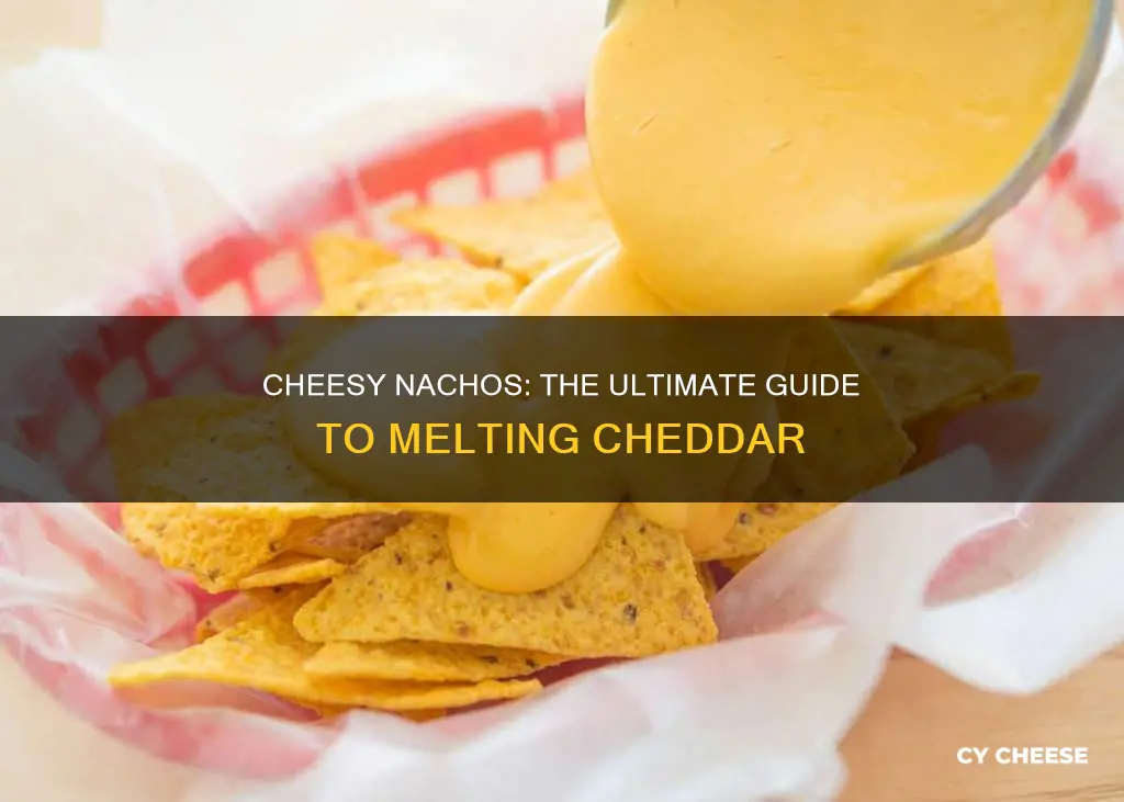 how to melt cheddar cheese for nachos