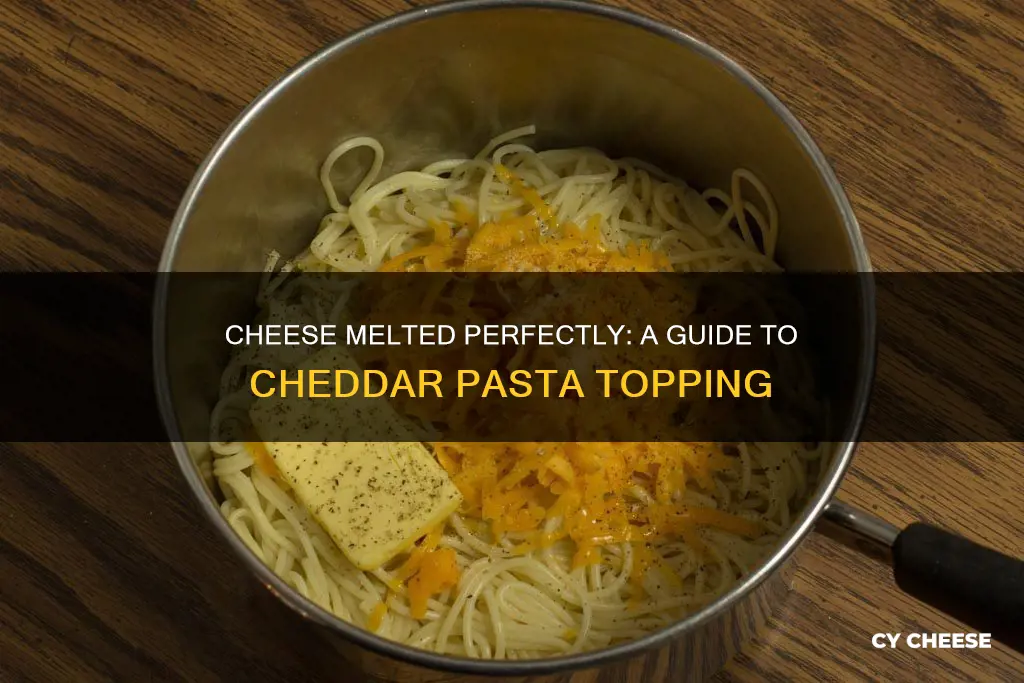 how to melt cheddar cheese for pasta