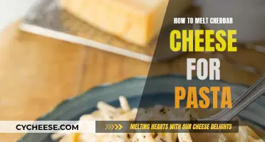 Melting Cheddar Cheese for Pasta: The Ultimate Guide