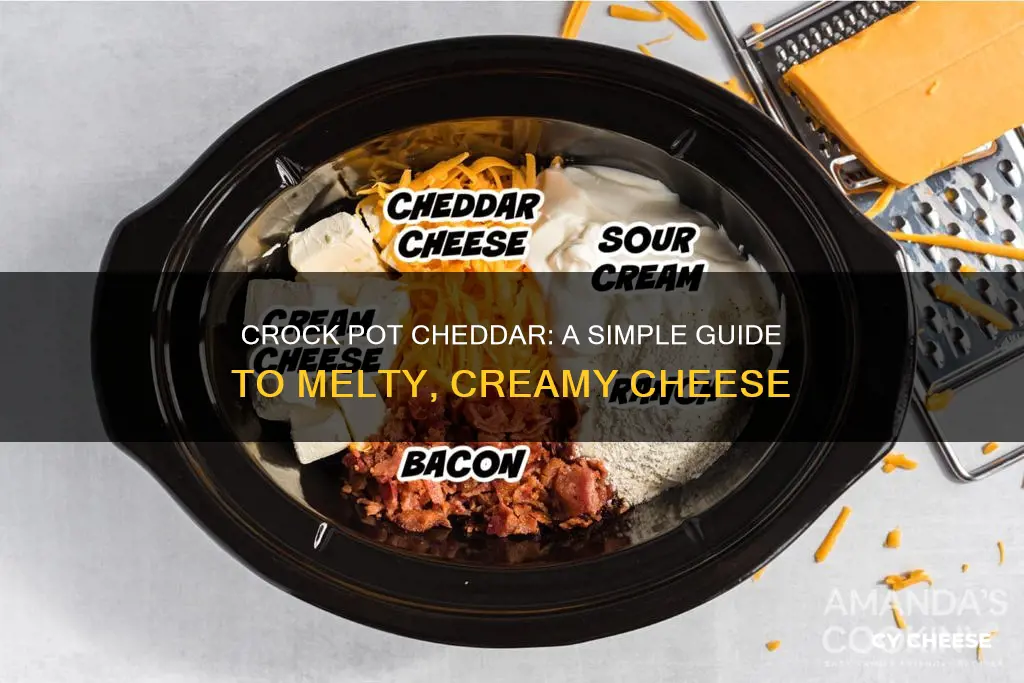 how to melt cheddar cheese in a crock pot