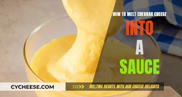 Cheesy Cheddar Sauce: Melting Tips for a Creamy Delight