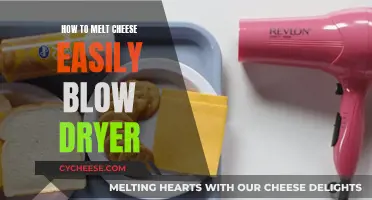 Melting Cheese with a Blow Dryer: Easy and Quick