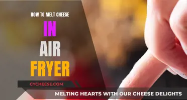 Melted Cheese Perfection: Air Fryer Techniques and Tricks