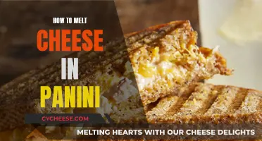 The Perfect Melt: Panini Cheese Secrets