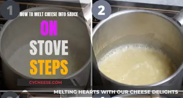 Melted Cheese Sauce: Stove-top Steps for Success