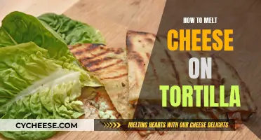 Melting Cheese on Tortillas: Tips for the Perfect Melt