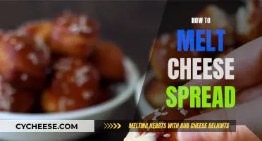 Melting Cheese Spread: Tips and Tricks