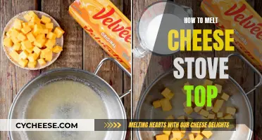 Melting Cheese on the Stovetop: Quick and Easy