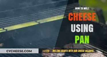 Melting Cheese in a Pan: Tips and Tricks