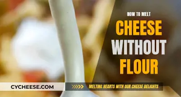 Melting Cheese Without Flour: Simple Techniques for Perfect Results