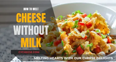 Melting Cheese Perfectly: Milk-Free Methods for Cheesy Goodness