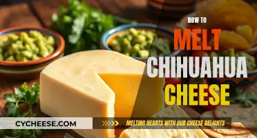 Melting Chihuahua Cheese: A Quick and Easy Guide
