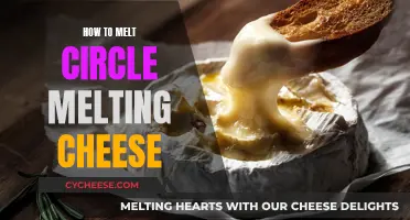 The Perfect Melt: Circle Cheese Techniques