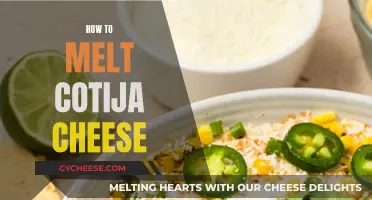 Melting Cotija Cheese: Best Techniques and Tips